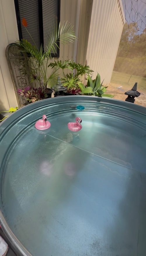 A stock tank pool installed in perth regional under patio on decking for a great backyard oasis